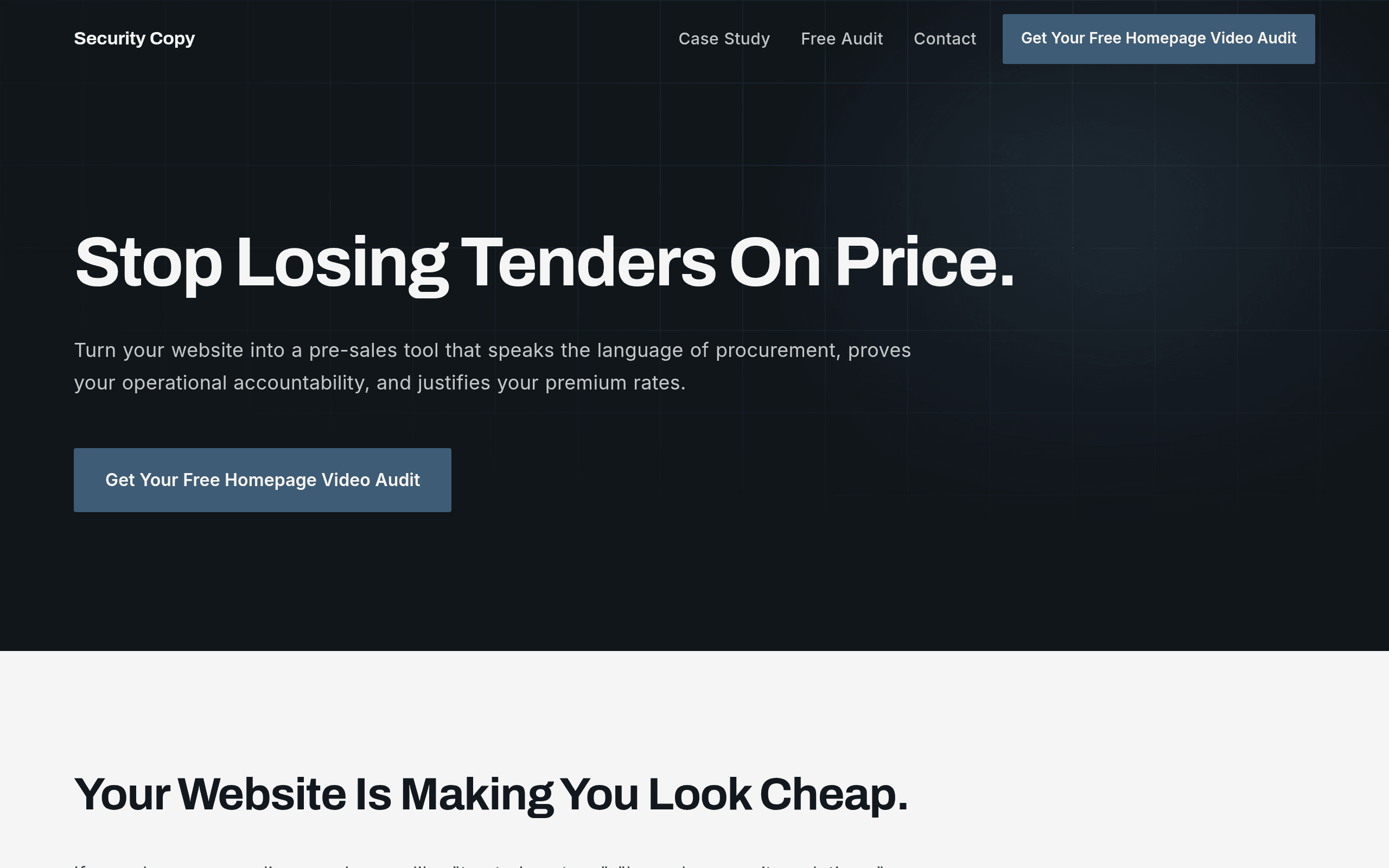 SecurityCopy — Security Tender & Bid Copywriting homepage